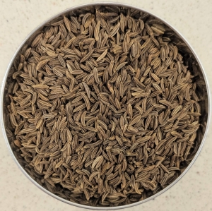 Manufacturers Exporters and Wholesale Suppliers of Cumin Seeds Mahuva Gujarat