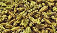 Manufacturers Exporters and Wholesale Suppliers of Fennel Seeds Unjha Gujarat