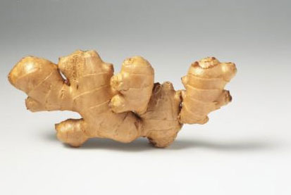 Manufacturers Exporters and Wholesale Suppliers of Ginger extract Changsha, Hunan 