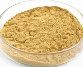 Manufacturers Exporters and Wholesale Suppliers of Chlorogenic Acid Changsha 