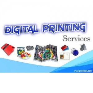 Service Provider of Digital Printing Services Delhi Delhi 