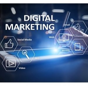 Service Provider of Digital Marketing Training Delhi Delhi 