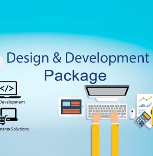 Service Provider of Website Development Packages Delhi Delhi 