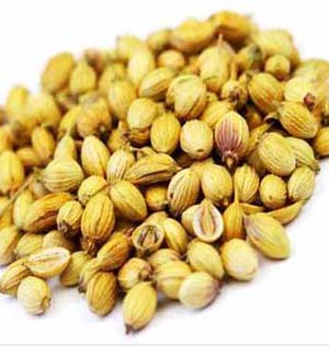 Manufacturers Exporters and Wholesale Suppliers of Dry Coriander Seeds Vadodara Gujarat