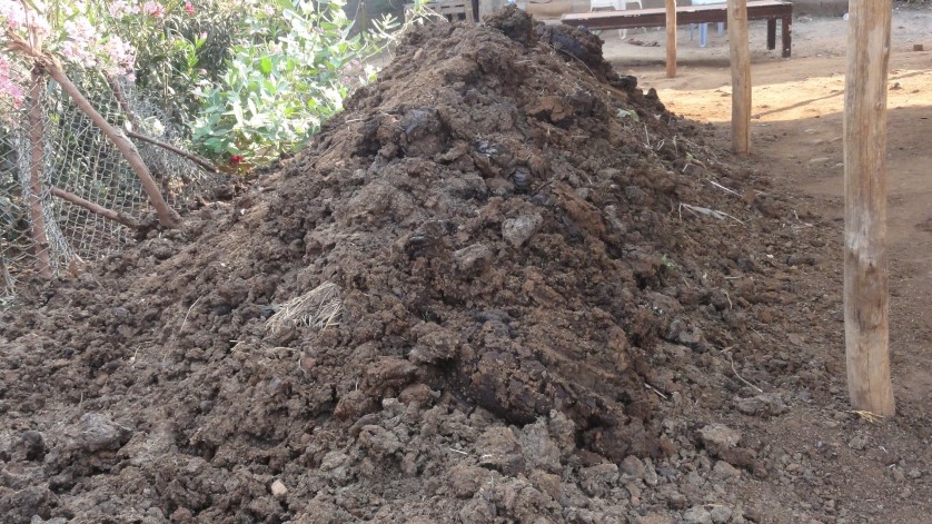 Manufacturers Exporters and Wholesale Suppliers of Gomaya Pure Cow Dung Visakhapatnam Andhra Pradesh