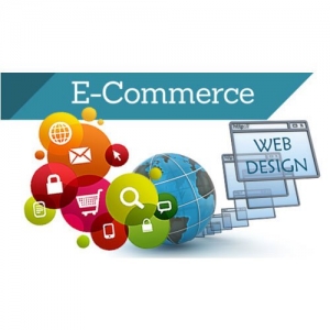 Service Provider of Ecommerce Website Designing Services Delhi Delhi 