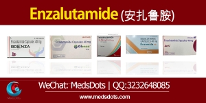 Manufacturers Exporters and Wholesale Suppliers of Indian Enzalutamide 40 mg Supplier delhi Delhi