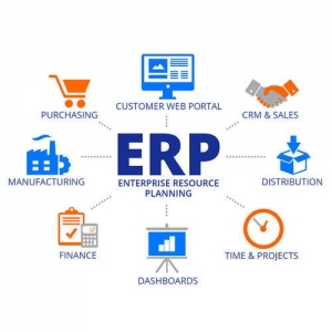 Service Provider of ERP Software Development Delhi Delhi 