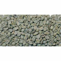 Manufacturers Exporters and Wholesale Suppliers of Green Coffee Seeds Coimbatore Tamil Nadu