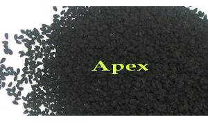 Manufacturers Exporters and Wholesale Suppliers of Black Cumin Seed Oil Jaipur Rajasthan