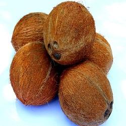 Manufacturers Exporters and Wholesale Suppliers of Husked Coconut Pathanamthitta Kerala