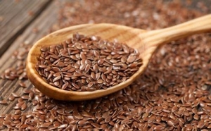 Manufacturers Exporters and Wholesale Suppliers of Flax Seeds Sunam Punjab