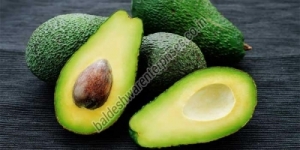 Manufacturers Exporters and Wholesale Suppliers of FRESH AVOCADO Kutch Gujarat