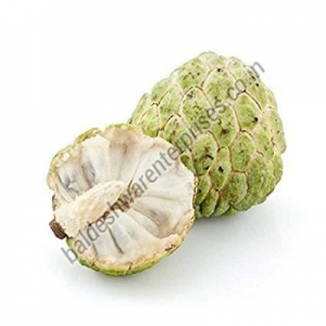 Manufacturers Exporters and Wholesale Suppliers of FRESH CUSTARD APPLE Kutch Gujarat