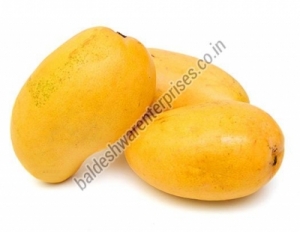Manufacturers Exporters and Wholesale Suppliers of FRESH MANGO Kutch Gujarat