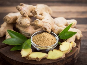 Manufacturers Exporters and Wholesale Suppliers of Ginger Rourkela Orissa