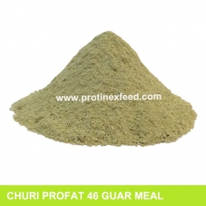 Manufacturers Exporters and Wholesale Suppliers of Guar Churi Meal Barmer Rajasthan