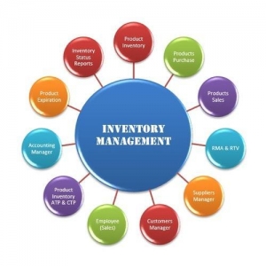 Service Provider of Inventory Management Software Development Delhi Delhi 