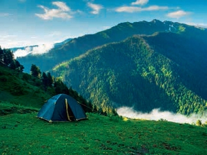 Service Provider of Kasol Jaipur Rajasthan 