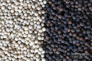Manufacturers Exporters and Wholesale Suppliers of Pepper Mojokerto Other