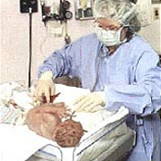 Manufacturers Exporters and Wholesale Suppliers of Delivery Kit Confinement Kit hyderabad Andhra Pradesh