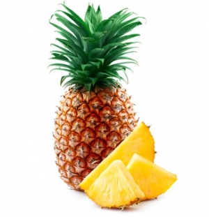 Manufacturers Exporters and Wholesale Suppliers of Pineapple Bangalore Karnataka