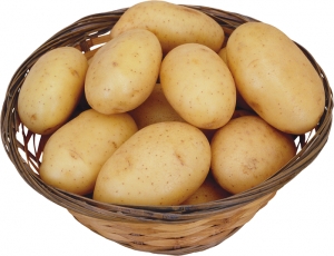 Manufacturers Exporters and Wholesale Suppliers of Potato KOCHI Kerala