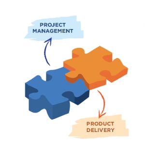 Service Provider of Projects Management Software Development Delhi Delhi 