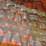 Manufacturers Exporters and Wholesale Suppliers of MST Energy Pendants (MEP 10) hyderabad Andhra Pradesh