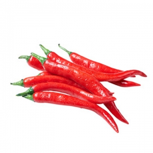 Manufacturers Exporters and Wholesale Suppliers of Red Chili Rourkela Orissa