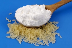 Manufacturers Exporters and Wholesale Suppliers of Rice Starch Gandhinagar Gujarat