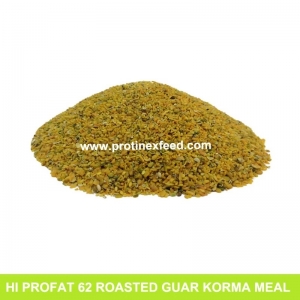 Manufacturers Exporters and Wholesale Suppliers of Roasted Guar Korma Meal Barmer Rajasthan