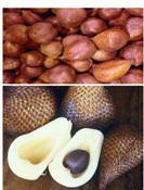 Manufacturers Exporters and Wholesale Suppliers of Snake Fruit Mojokerto Other