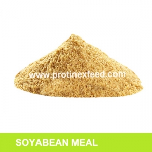 Manufacturers Exporters and Wholesale Suppliers of Soyabean Meal Barmer Rajasthan
