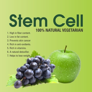 Manufacturers Exporters and Wholesale Suppliers of Stem Cell (Liquid) Sunam Punjab