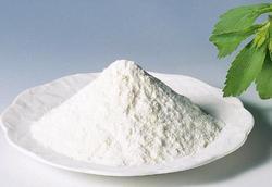 Manufacturers Exporters and Wholesale Suppliers of Stevia White Powder Sunam Punjab
