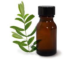 Tea Leaf Oil