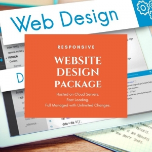 Service Provider of Website Designing Packages Delhi Delhi 