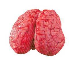 Manufacturers Exporters and Wholesale Suppliers of Buffalo Brain Kolkata West Bengal