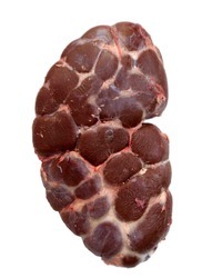 Manufacturers Exporters and Wholesale Suppliers of Buffalo Kidney Kolkata West Bengal