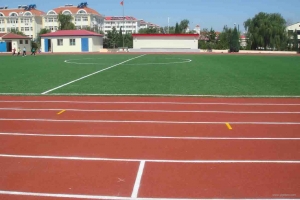 Manufacturers Exporters and Wholesale Suppliers of Synthetic Rubber Track Guangzhou 