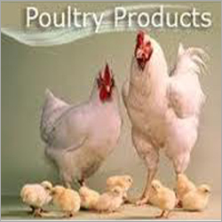 Manufacturers Exporters and Wholesale Suppliers of Poultry Feed Supplements Bharuch Gujarat