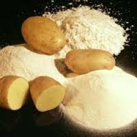 Manufacturers Exporters and Wholesale Suppliers of starch surat Gujarat