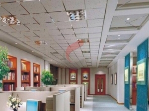 Service Provider of Acoustic Ceiling Bhubaneswar Orissa 