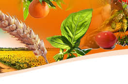 Manufacturers Exporters and Wholesale Suppliers of Agro Products Hubli Karnataka