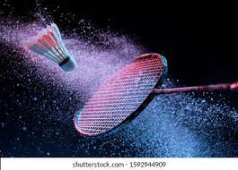 Manufacturers Exporters and Wholesale Suppliers of Badminton Delhi Delhi