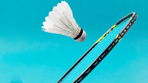 Manufacturers Exporters and Wholesale Suppliers of Badminton New Delhi Delhi