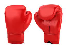 Manufacturers Exporters and Wholesale Suppliers of Boxing Gear Sialkot 