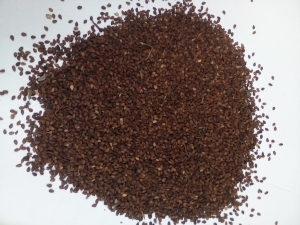 Manufacturers Exporters and Wholesale Suppliers of Sesame Seed Kolkata West Bengal