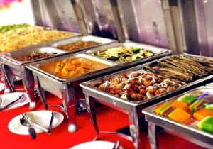 Service Provider of Caterers New Delhi Delhi 